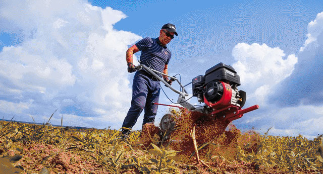 Как выбрать мотоблок для дачи и огорода